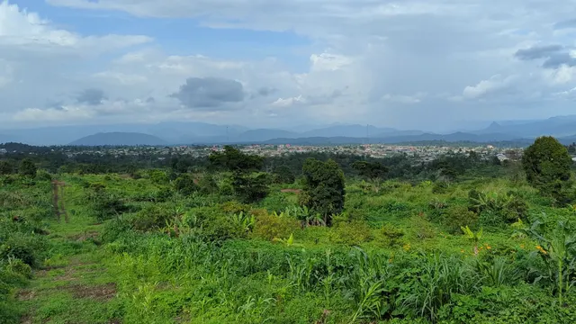 Végétation et terrain à Poola