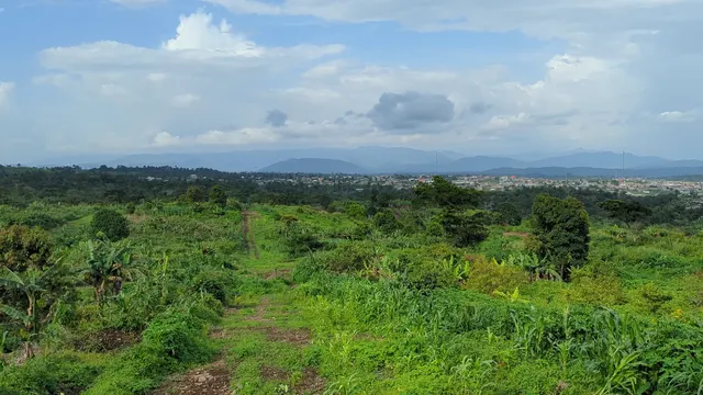 Parcelles et environnement à Poola