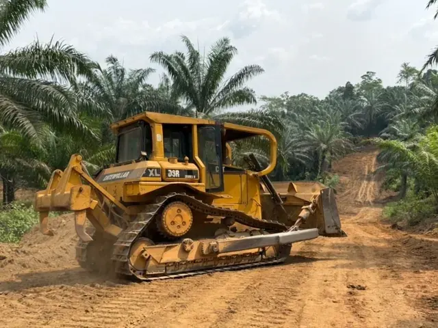 Missolé II — PK30 — Bulldozer dans la palmeraie — animation générée