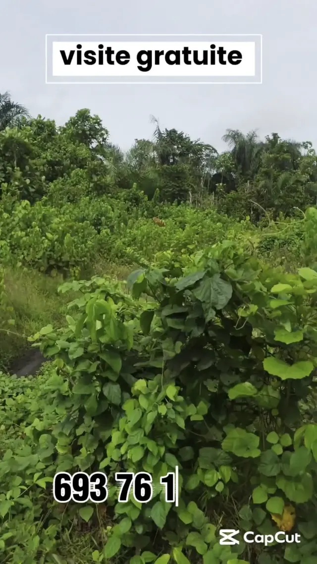 Dibamba — accès depuis la route
