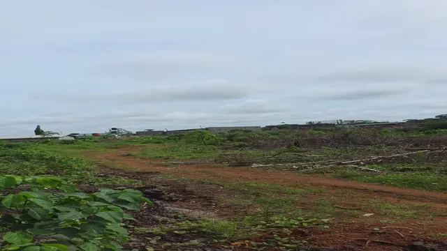 Vidéo du site Dibamba — Douala