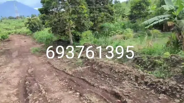 Vidéo du site Nkongsamba — Poola — Nkongsamba