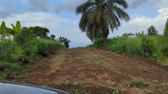 Poola — parcours du site